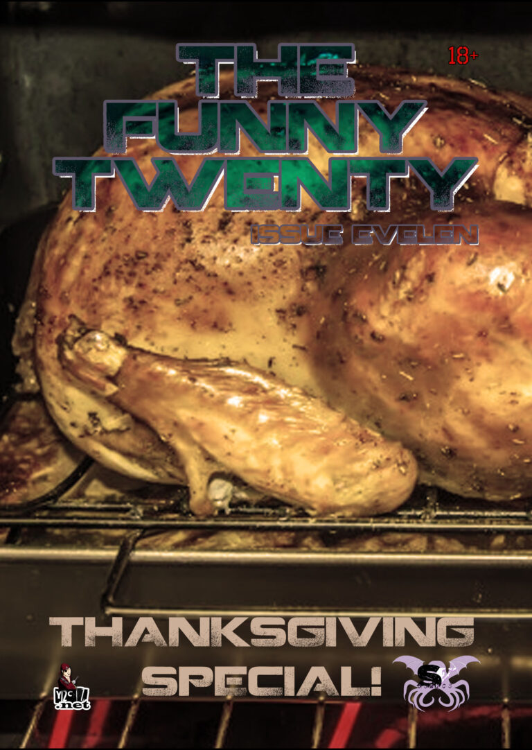 Funny Twenty 11 - Cover copy