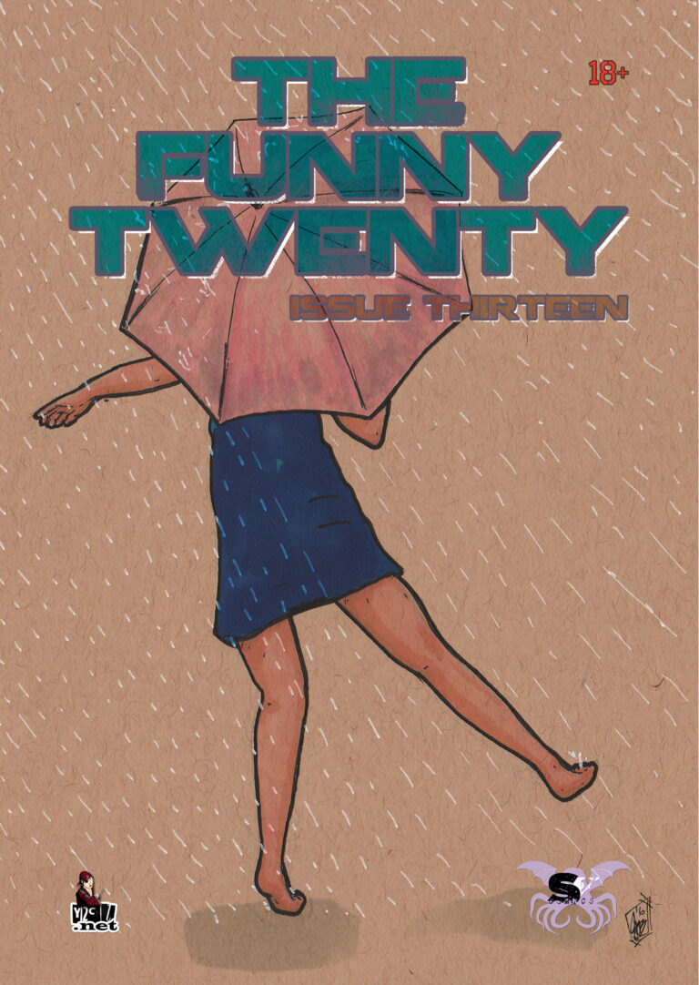 Funny Twenty 13 - Cover copy